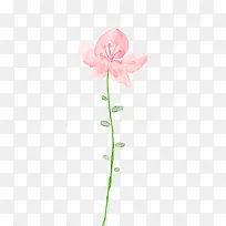 粉色花朵手绘唯美造型