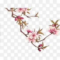 唯美粉色桃花花枝