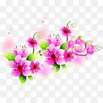 粉色唯美手绘花朵美丽