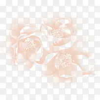 粉色朦胧花朵唯美