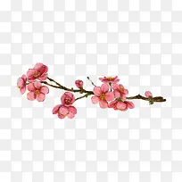 手绘粉色唯美桃花花枝