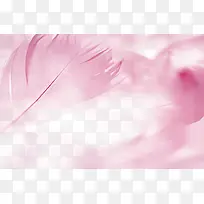 粉色唯美羽毛