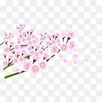 唯美春天粉色花朵
