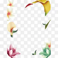 卡通手绘植物花卉边框png