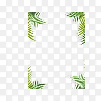植物边框