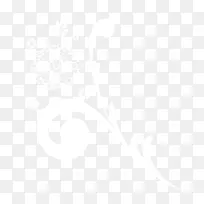 白色花纹