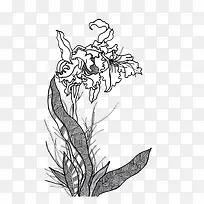 中国风花草黑白色