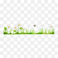 植物和花