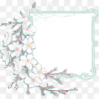 白色小花边框