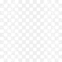 白色清新花纹框架