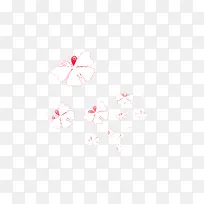 花瓣