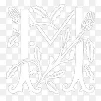 字母M