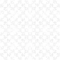 白色清新花纹边框纹理