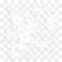 花纹
