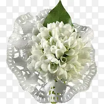 白色花束素材