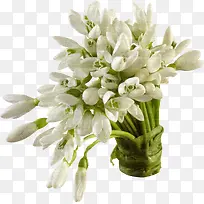 白色花束素材