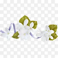 花纹边框