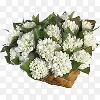 白色花束素材