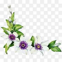 白色花瓣边角装饰