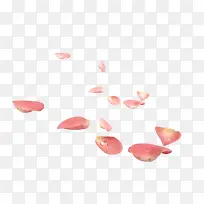 花瓣粉红花瓣漂浮装饰