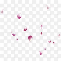花瓣紫色花瓣漂浮装饰