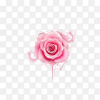 粉色玫瑰墨迹装饰