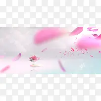 花瓣背景
