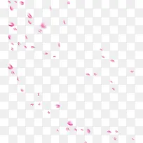 紫色花瓣情人节装饰
