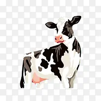 奶牛牛手绘插画