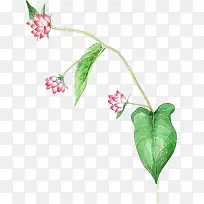手绘粉色花朵绿叶植物装饰