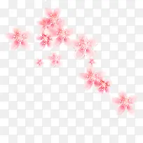 粉色的花