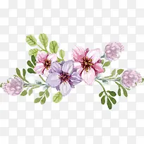 春季花朵装饰插画