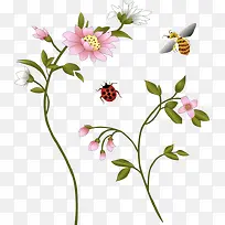 红色花朵七星瓢虫蜜蜂