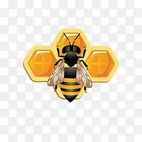 可爱的3D蜜蜂和蜂窝矢量素材