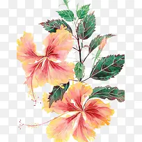 创意水彩花卉插画