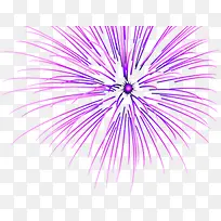 紫色绽放礼花