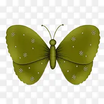 绿色小蝴蝶