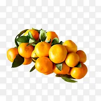 众多黄色的橘子