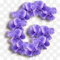 紫色的花