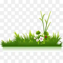 绿色植物手绘元素