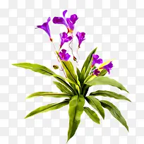 紫色手绘小花植物装饰图案