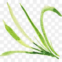 绿草