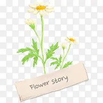 花朵 花卉 小花