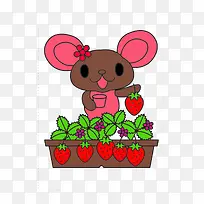 小兔子摘草莓