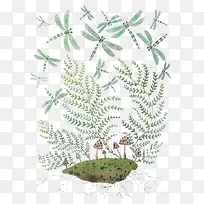 植物