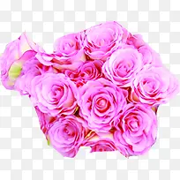 粉色爱情的花束