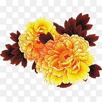 盛开黄色菊花红叶