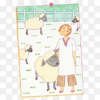 女孩和绵羊
