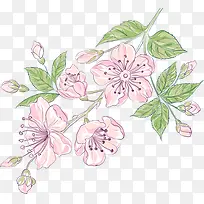 手绘桃花
