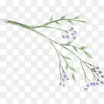 手绘花枝